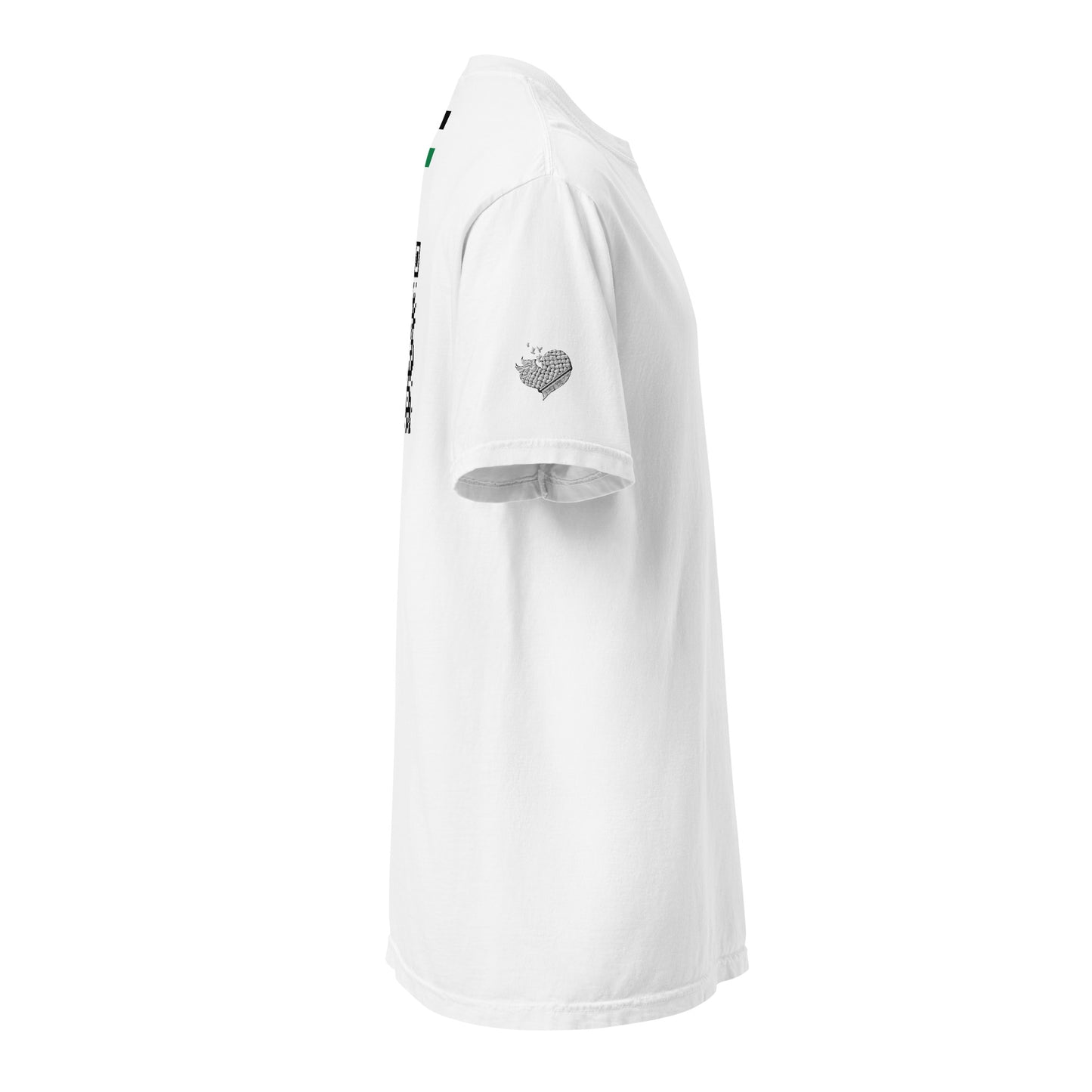 Unisex No Thanks t-shirt