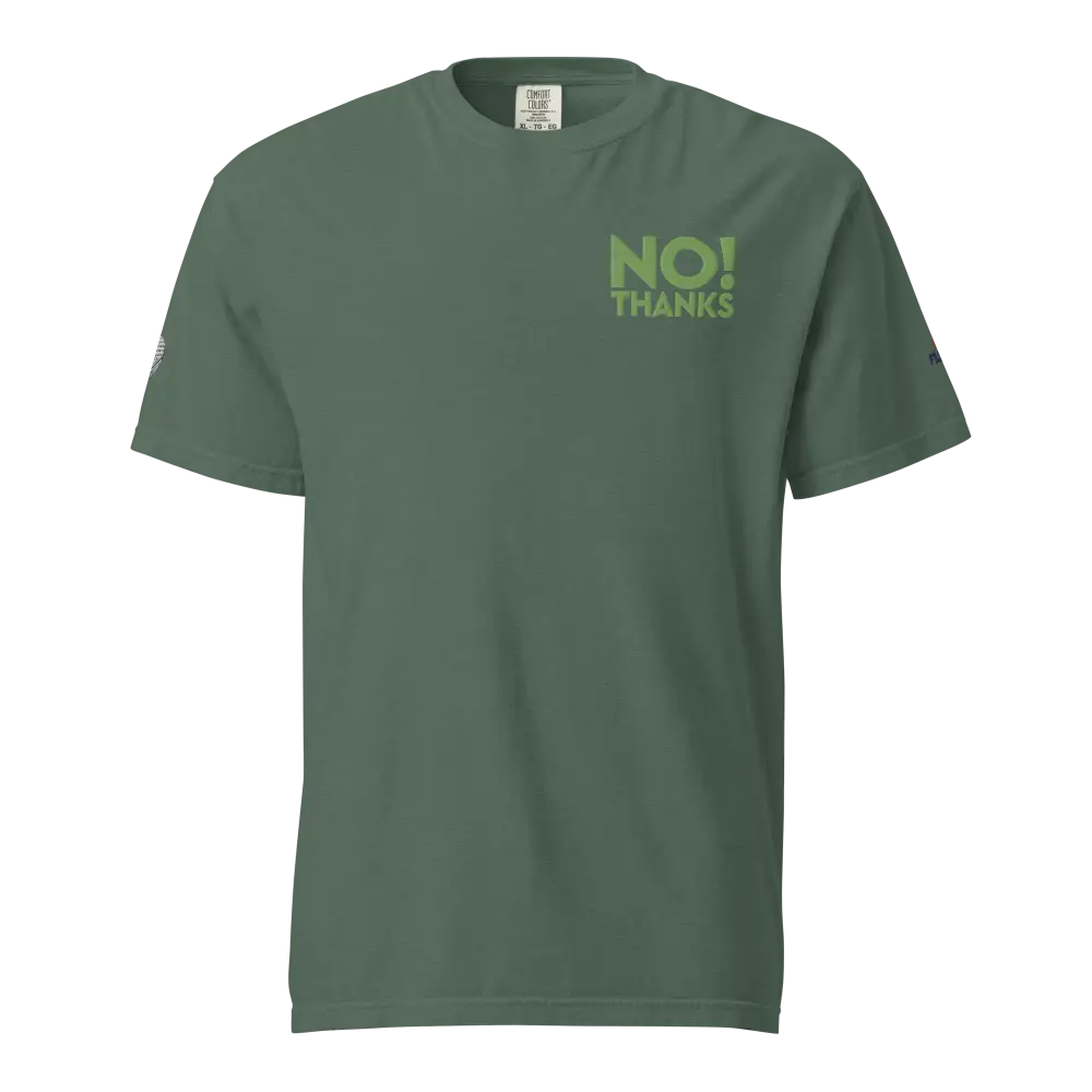 Unisex heavyweight No Thanks t-shirt